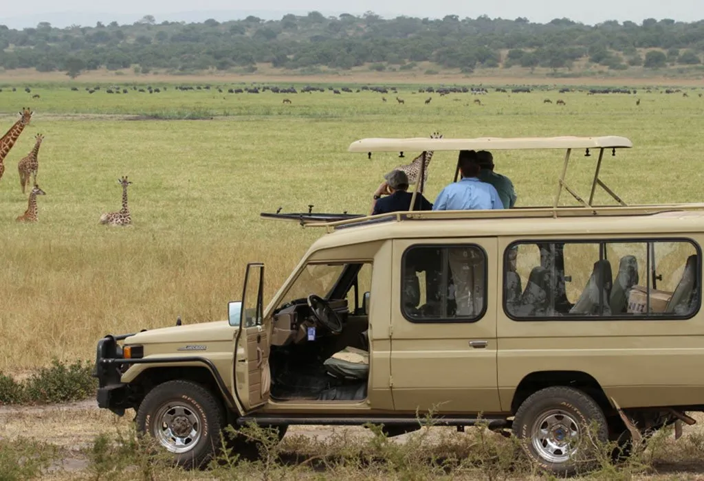 How to plan 7 Days Family Tanzania safari